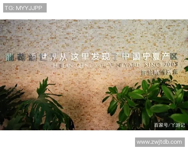 广州乒乓球队崛起之路:从默默无闻到全国瞩目的成长历程 广州乒乓球队崛起之路:从默默无闻到全国瞩目的成长历程