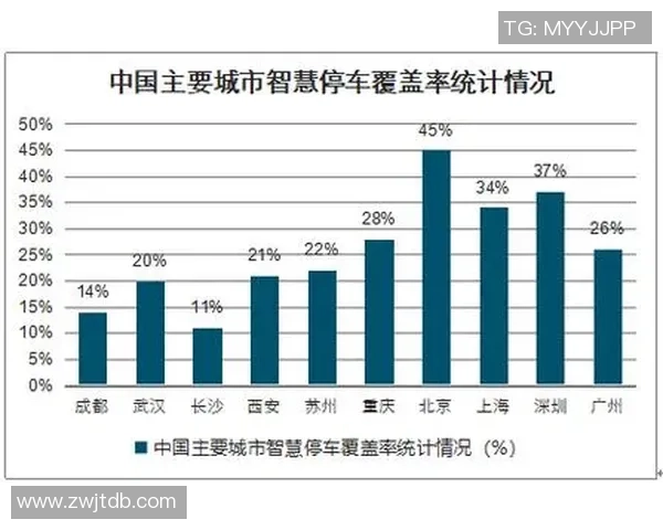 深入探讨北京排球队实力表现的数据分析与未来发展趋势