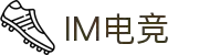 IM(股份有限公司)电竞-电子竞技平台"