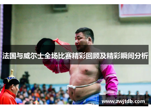 法国与威尔士全场比赛精彩回顾及精彩瞬间分析